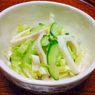 信州名物　春キャベツと塩丸いかの和え物